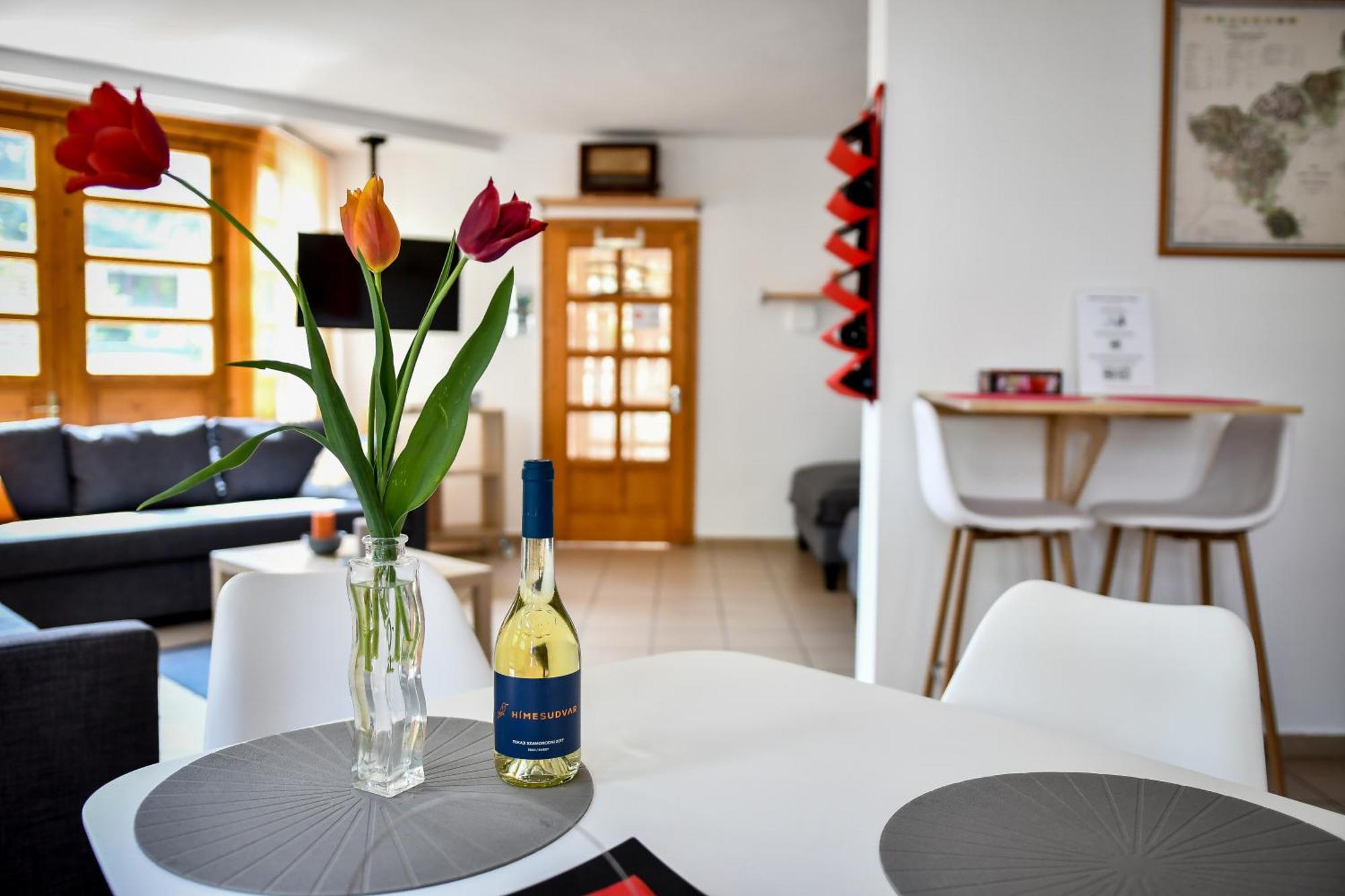 Boralom Studio Apartman Tokaj Buitenkant foto